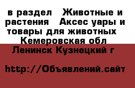  в раздел : Животные и растения » Аксесcуары и товары для животных . Кемеровская обл.,Ленинск-Кузнецкий г.